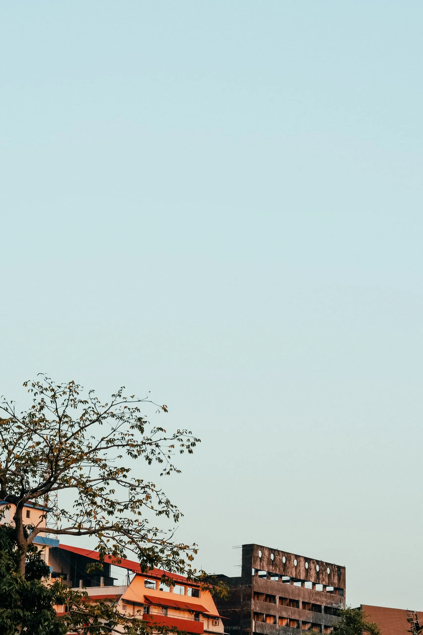 A pale evening sky above low rooftops and a tree